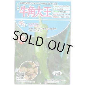 画像: 送料無料　[とうがらし]　辛コレ　牛角大王　20粒　トキタ種苗(株)