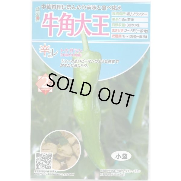 画像1: 送料無料　[とうがらし]　辛コレ　牛角大王　20粒　トキタ種苗(株) (1)