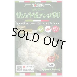 画像: 送料無料　カリフラワー　リゾットビアンコ90　50粒　トキタ種苗(株)