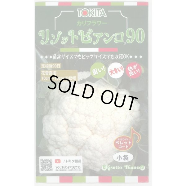 画像1: 送料無料　カリフラワー　リゾットビアンコ90　50粒　トキタ種苗(株) (1)