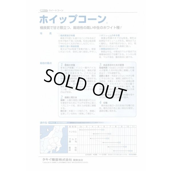 画像3: 送料無料　[とうもろこし]　ホイップコーン　40粒　タキイ種苗　GF (3)