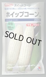 画像: 送料無料　[とうもろこし]　ホイップコーン　200粒　タキイ種苗