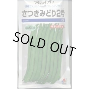 画像: 送料無料 [いんげん] さつきみどり2号 1dl(およそ270粒)タキイ種苗