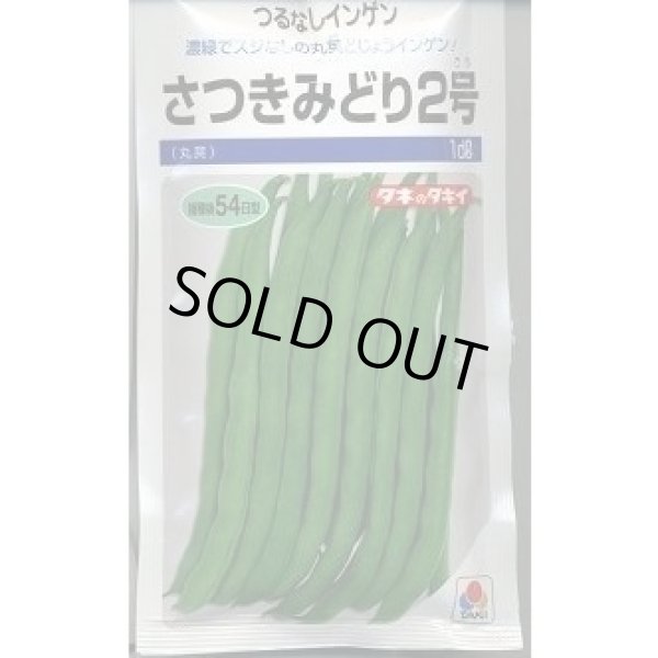 画像1: 送料無料 [いんげん] さつきみどり2号 1dl(およそ270粒)タキイ種苗 (1)