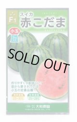 画像: 送料無料　[スイカ]　小玉スイカ　赤こだま西瓜　7粒　大和農園