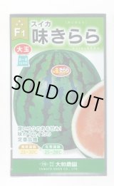 画像: 送料無料　[スイカ]　大玉スイカ　味きらら西瓜　7粒　大和農園