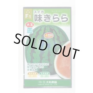 画像: 送料無料　[スイカ]　大玉スイカ　味きらら西瓜　7粒　大和農園