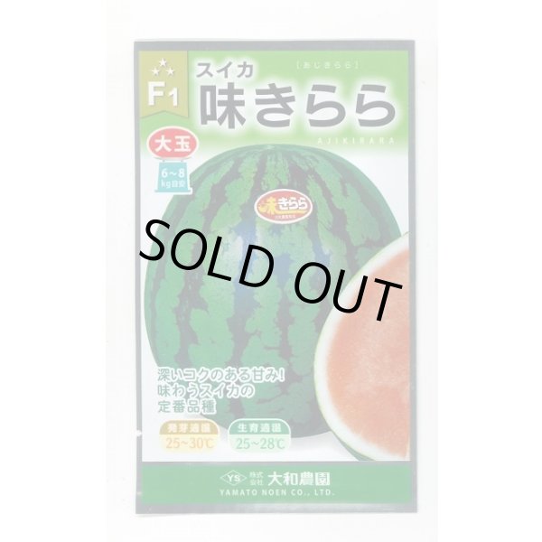 画像1: 送料無料　[スイカ]　大玉スイカ　味きらら西瓜　7粒　（株）大和農園 (1)