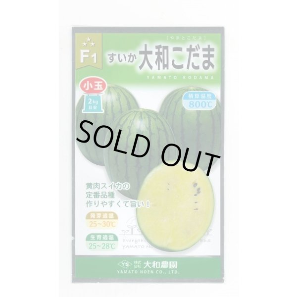 画像1: 送料無料　[スイカ]　小玉スイカ　大和こだま西瓜　(黄色)　200粒　（株）大和農園 (1)