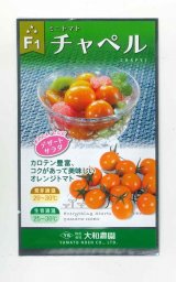 画像: [トマト/ミニトマト]　チャペルトマト　25粒　大和農園