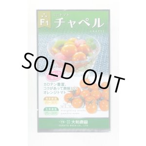 画像: [トマト/ミニトマト] チャペルトマト 25粒 大和農園