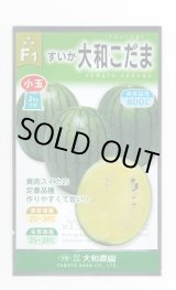 画像: 送料無料　[スイカ]　小玉スイカ　大和こだま西瓜　(黄色)　7粒　（株）大和農園