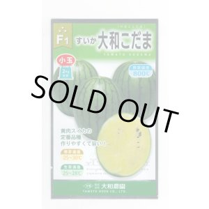 画像: 送料無料　[スイカ]　小玉スイカ　大和こだま西瓜　(黄色)　7粒　大和農園