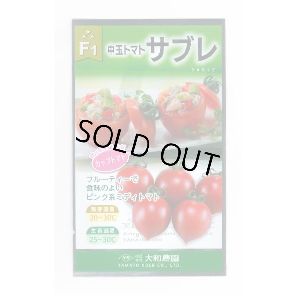 画像1: [トマト/中玉トマト] サブレトマト 18粒 大和農園 (1)