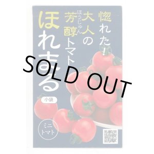 画像: 送料無料　[トマト/ミニトマト]　ほれまる　13粒　渡辺農事（株）