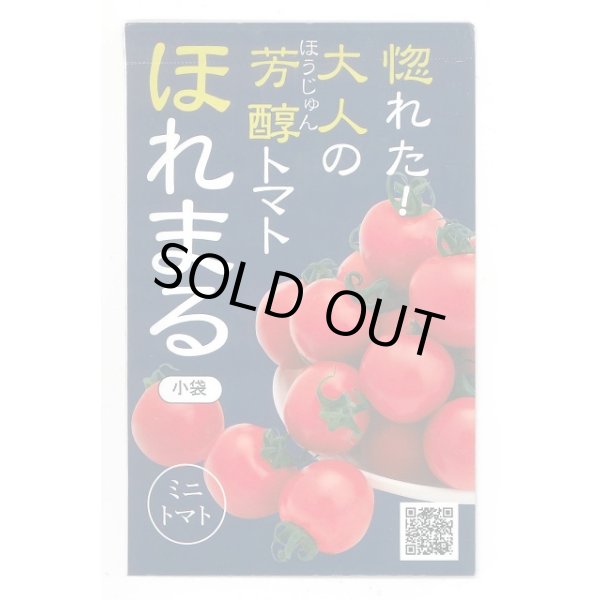 画像1: 送料無料　[トマト/ミニトマト]　ほれまる　13粒　渡辺農事（株） (1)