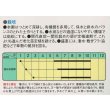 画像2: 送料無料　[なす]　白長茄子　約60粒　中原採種場(株) (2)