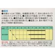 画像2: [なす]　白長茄子　約60粒　　中原採種場（株） (2)