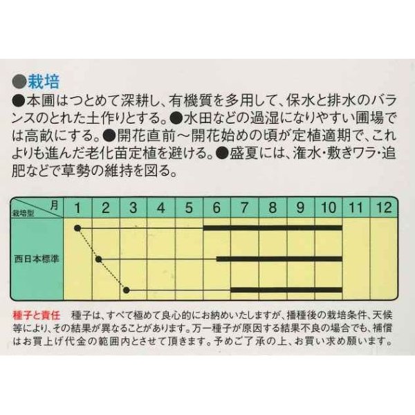 画像2: [なす]　白長茄子　約60粒　　中原採種場（株） (2)