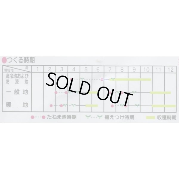 画像2: 送料無料　[カリフラワー]　美星　ペレット5000粒　(株)サカタのタネ (2)