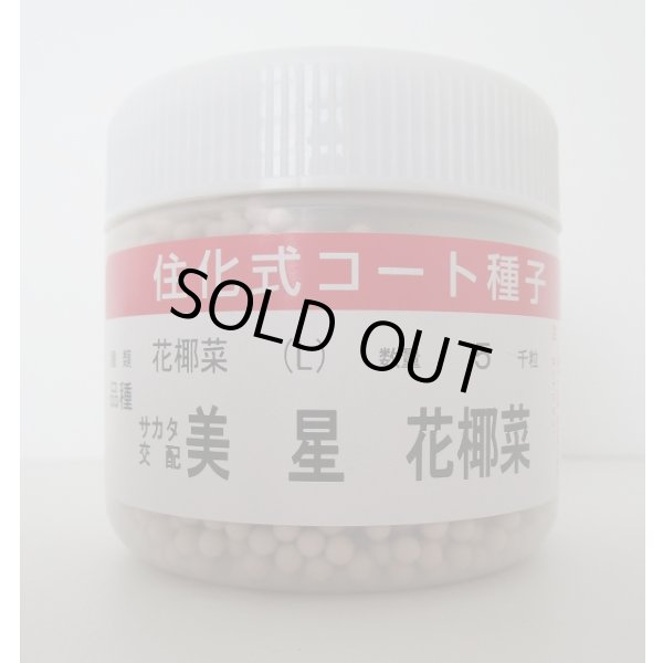 画像1: 送料無料　[カリフラワー]　美星　ペレット5000粒　(株)サカタのタネ (1)