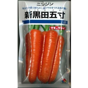画像: 送料無料[人参]　新黒田五寸　1dl（およそ22,560粒）　タキイ種苗