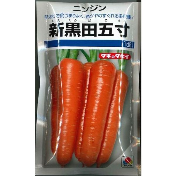 画像1: 送料無料[人参]　新黒田五寸　1dl（およそ22,560粒）　タキイ種苗 (1)