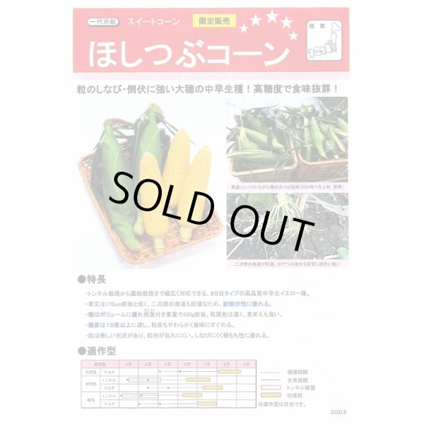 画像2: [とうもろこし]　ほしつぶコーン　2000粒　タキイ種苗 (2)