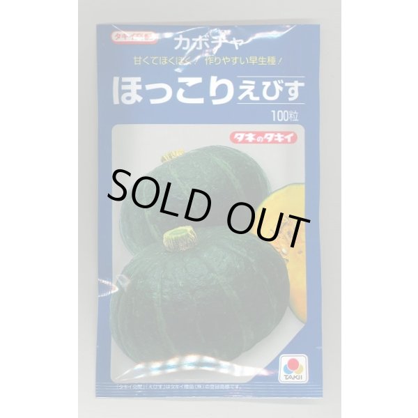 画像1: 送料無料　[かぼちゃ]　ほっこりえびす　100粒　タキイ種苗(株) (1)