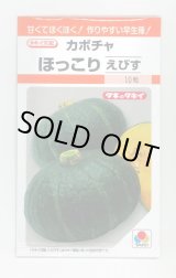 画像: 送料無料　[かぼちゃ]　ほっこりえびす　9粒　タキイ種苗(株)　RF