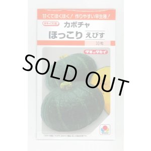 画像: 送料無料　[かぼちゃ]　ほっこりえびす　9粒　タキイ種苗(株)　RF