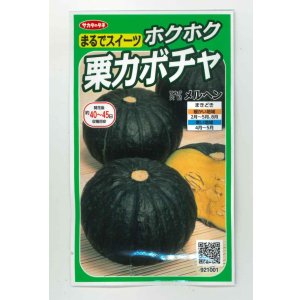 画像: 送料無料　[かぼちゃ]　メルヘン　約10粒　(株)サカタのタネ　実咲450（002867）
