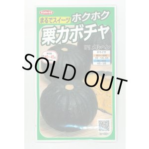 画像: 送料無料　[かぼちゃ]　メルヘン　約10粒　(株)サカタのタネ　実咲450（002867）