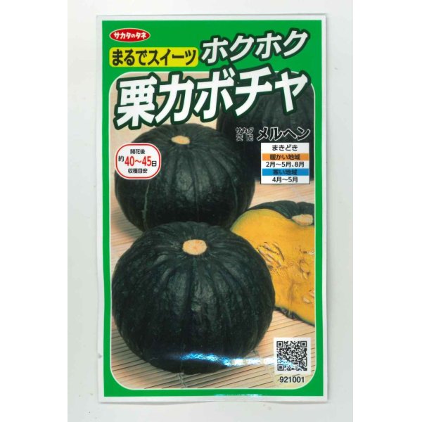 画像1: [かぼちゃ]　メルヘン　約10粒　サカタのタネ（株）　実咲400 (1)
