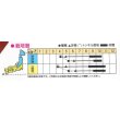 画像2: 送料無料　[とうがらし]　ハバネロ・レッド　30粒　トキタ種苗(株) (2)