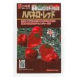 画像1: 送料無料　[とうがらし]　ハバネロ・レッド　30粒　トキタ種苗(株) (1)