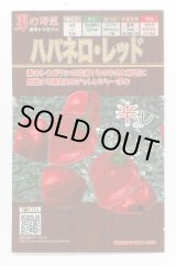 画像: 送料無料　[とうがらし]　ハバネロ・レッド　30粒　トキタ種苗(株)