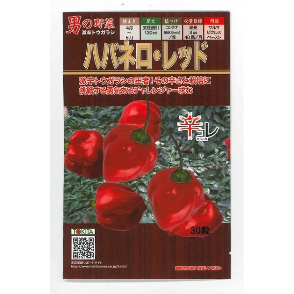 画像1: [とうがらし]　ハバネロ・レッド　30粒　トキタ種苗（株） (1)