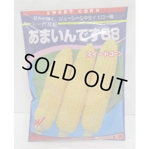 画像: 送料無料[とうもろこし]　あまいんです88　2000粒　渡辺農事(株)