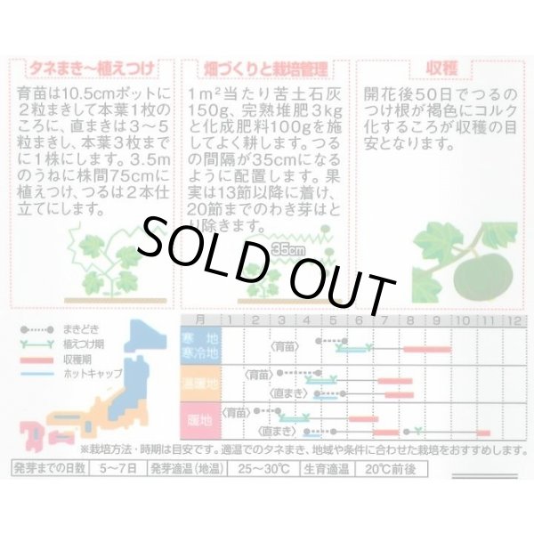 画像2: 送料無料　[かぼちゃ]　くりほまれ　約7粒　(株)サカタのタネ　実咲450（002872） (2)