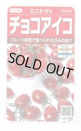 画像: 送料無料　[トマト/ミニトマト]　チョコアイコ　13粒　(株)サカタのタネ　実咲550（003244）