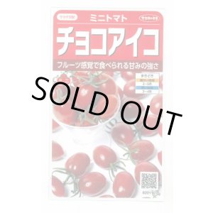 画像: 送料無料　[トマト/ミニトマト]　チョコアイコ　13粒　(株)サカタのタネ　実咲550（003244）