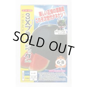 画像: 送料無料　[スイカ]　大玉スイカ　3Xブラックジャック　8粒　ナント種苗(株)