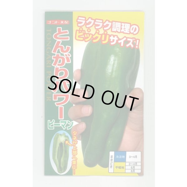 画像1: 送料無料　[ピーマン]　とんがりパワー　500粒　ナント種苗(株) (1)