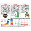 画像2: [トマト/ミニトマト]　チョコアイコ　13粒　サカタのタネ（株）実咲500 (2)