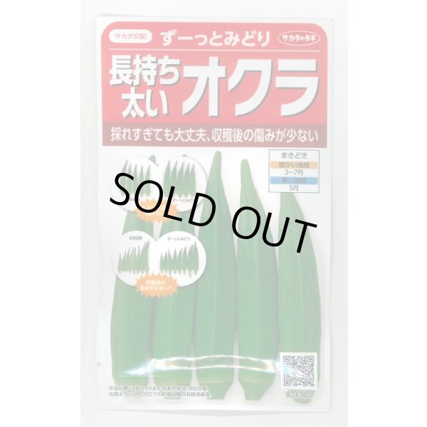 画像1: 送料無料　[オクラ]　ずーっとみどり　約40粒　(株)サカタのタネ　実咲350（003253） (1)