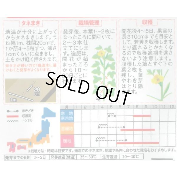 画像4: 送料無料　[オクラ]　ずーっとみどり　約40粒　(株)サカタのタネ　実咲350（003253） (4)