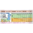 画像2: 送料無料　中国野菜　エンサイ　1dl(およそ1945粒)タキイ種苗 (2)