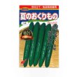 画像1: 送料無料　[キュウリ]　夏のおくりもの　20粒　渡辺農事（株） (1)