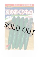 画像: 送料無料　[キュウリ]　夏のおくりもの　20粒　渡辺農事（株）